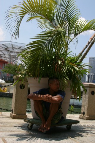na-sianka-pod-palma.sg