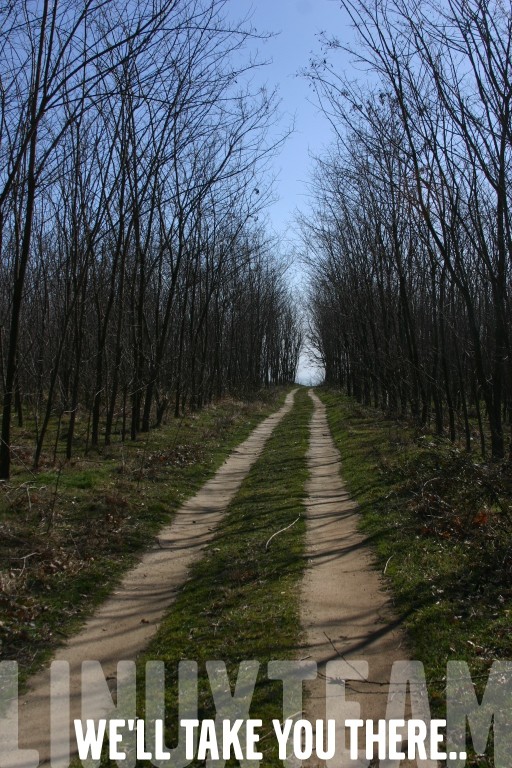 горски път-тунел към морето | forest tunnel road towards sea