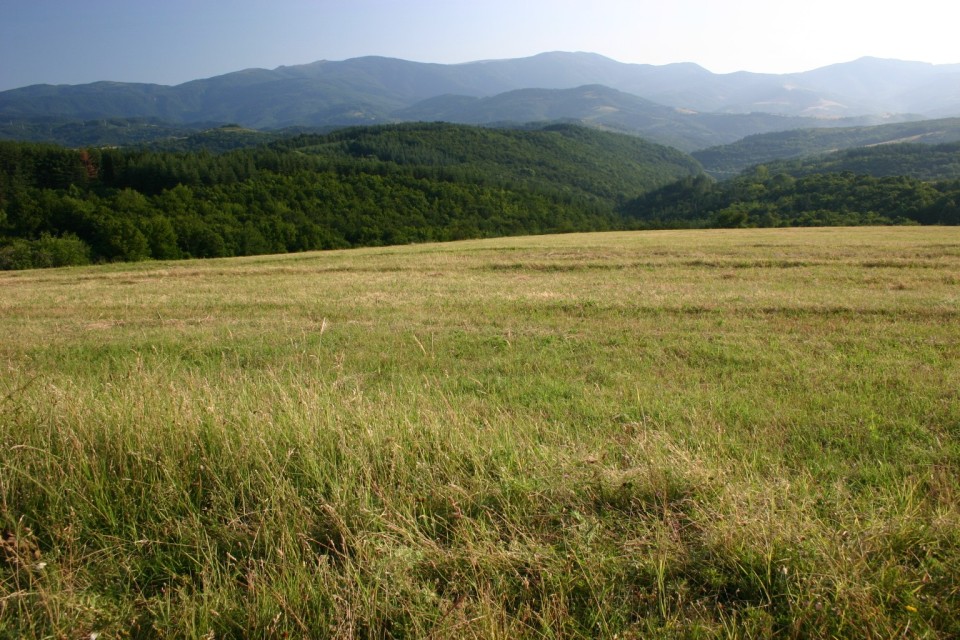 баири | hills